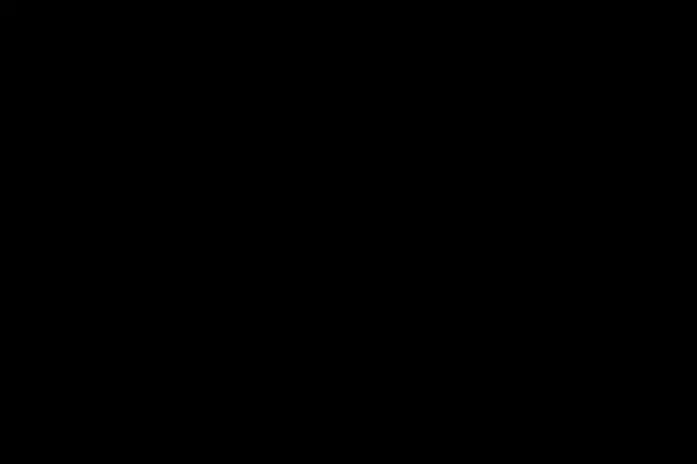 BELGIUM BLACK