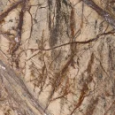 Bidasar Brown Marble