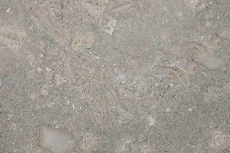 ФОССИЛЬ ЛАЙМСТОУН/FOSSIL LIMESTONE