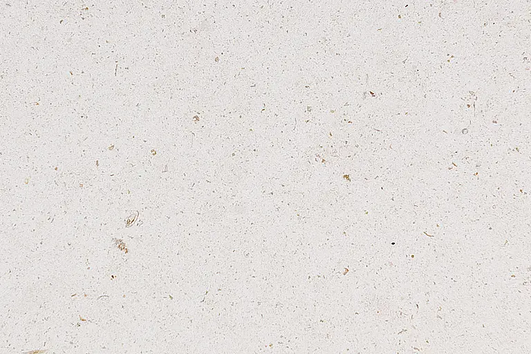 ЩЕТКИ
