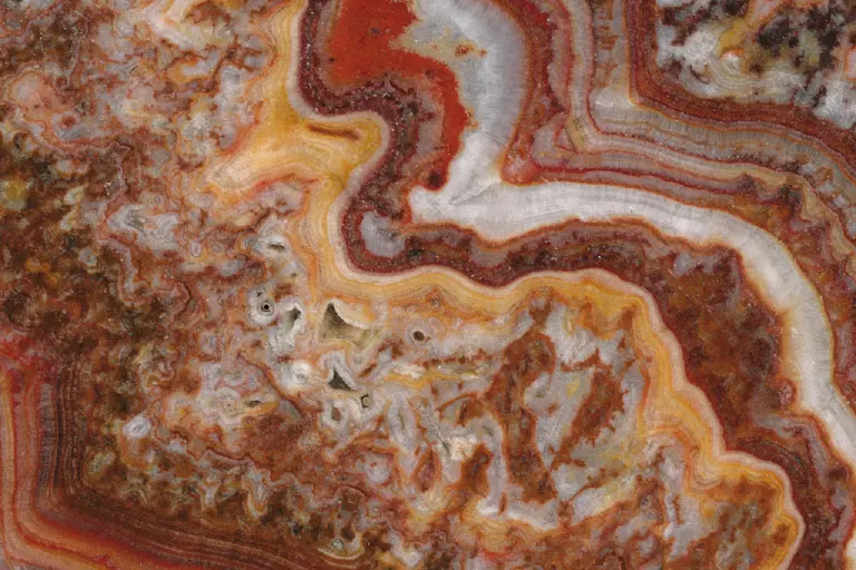 ONYX TIGER