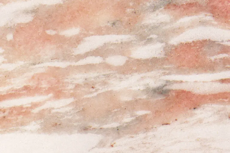 ROSA NORVEGIA